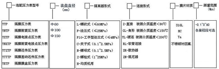 隔膜压力表(图1)